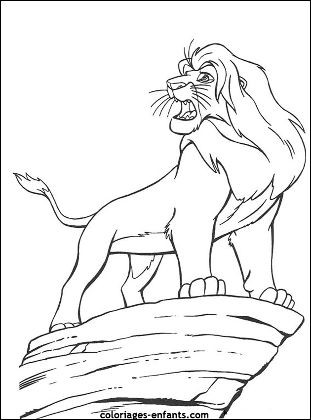 Coloriages de lions