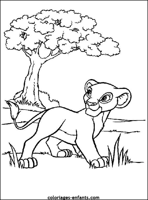 Coloriages de lions