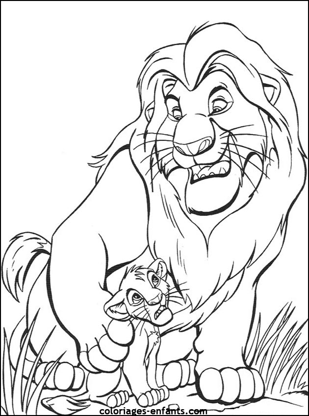 Coloriages de lions