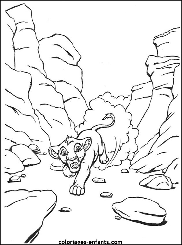 Coloriages de lions