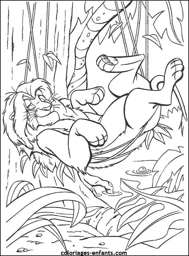 Coloriages de lions