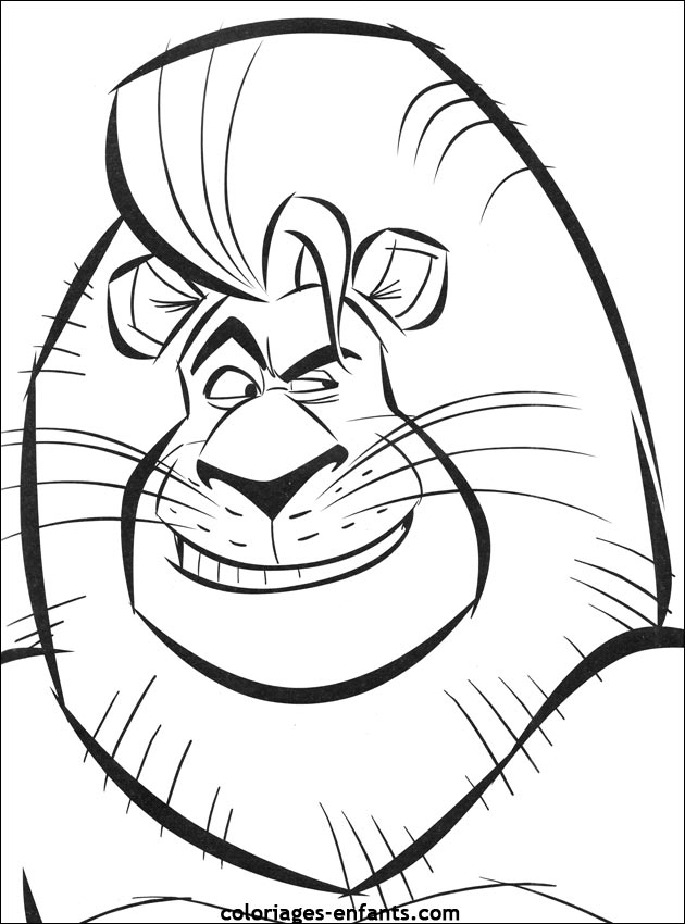 Coloriages de lions