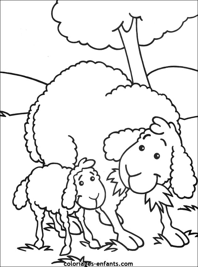 coloriage d'animaux - dessin de mouton  colorier