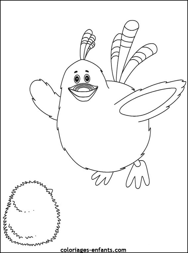 coloriage d'oiseaux - dessin  colorier d'animaux