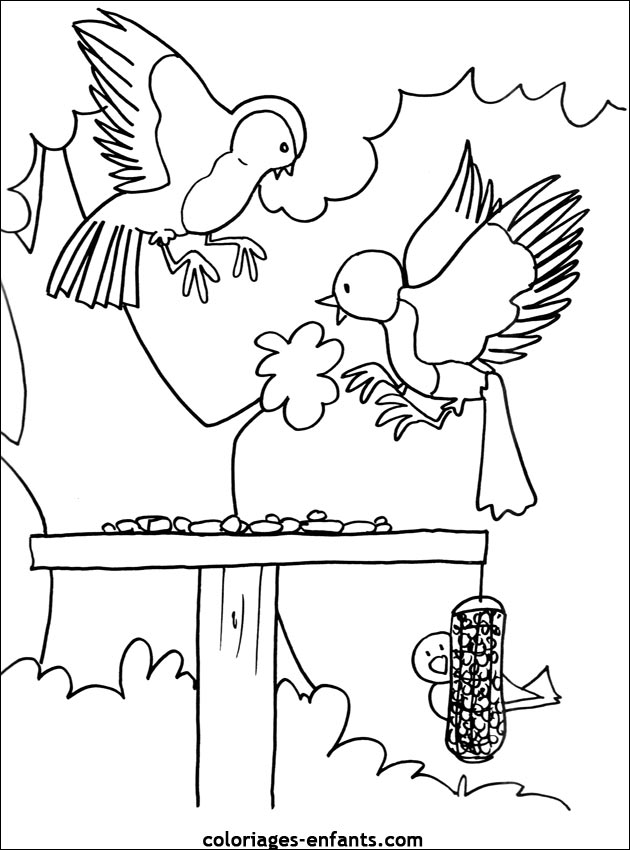 coloriage d'oiseaux - dessin  colorier d'animaux