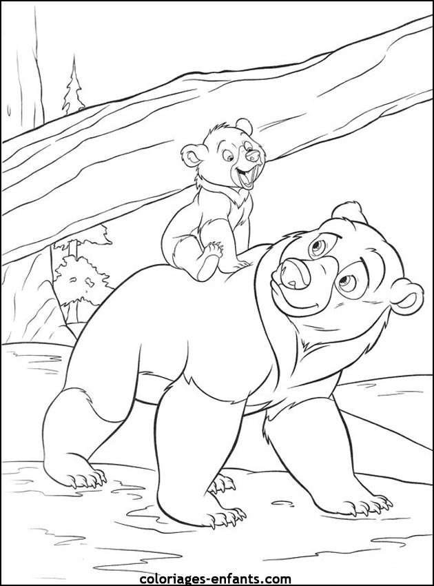 coloriage d'animaux - dessin d'ours  imprimer pour les enfants