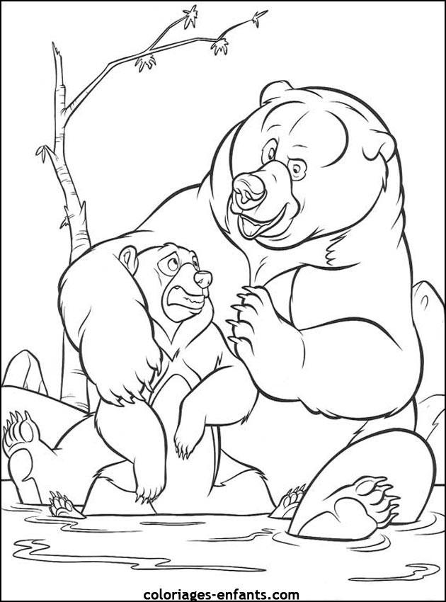 coloriage d'animaux - dessin d'ours  imprimer pour les enfants