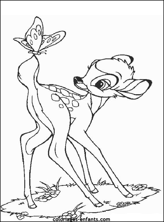 coloriage de papillons sur coloriages-enfants.com