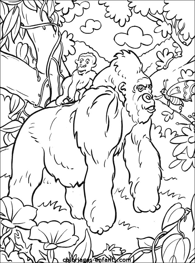 coloriage de singe