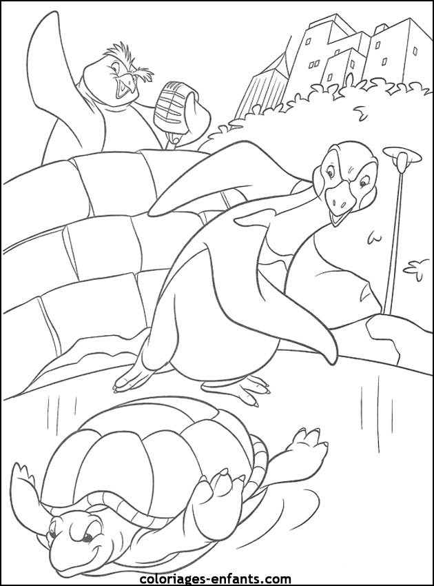 coloriage de tortues - dessins d'animaux  imprimer