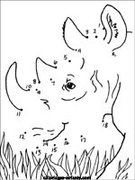 Jeux de rhinocéros