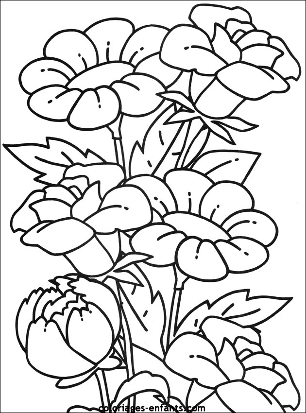 Les coloriages de fleurs sur  coloriages-enfants.com