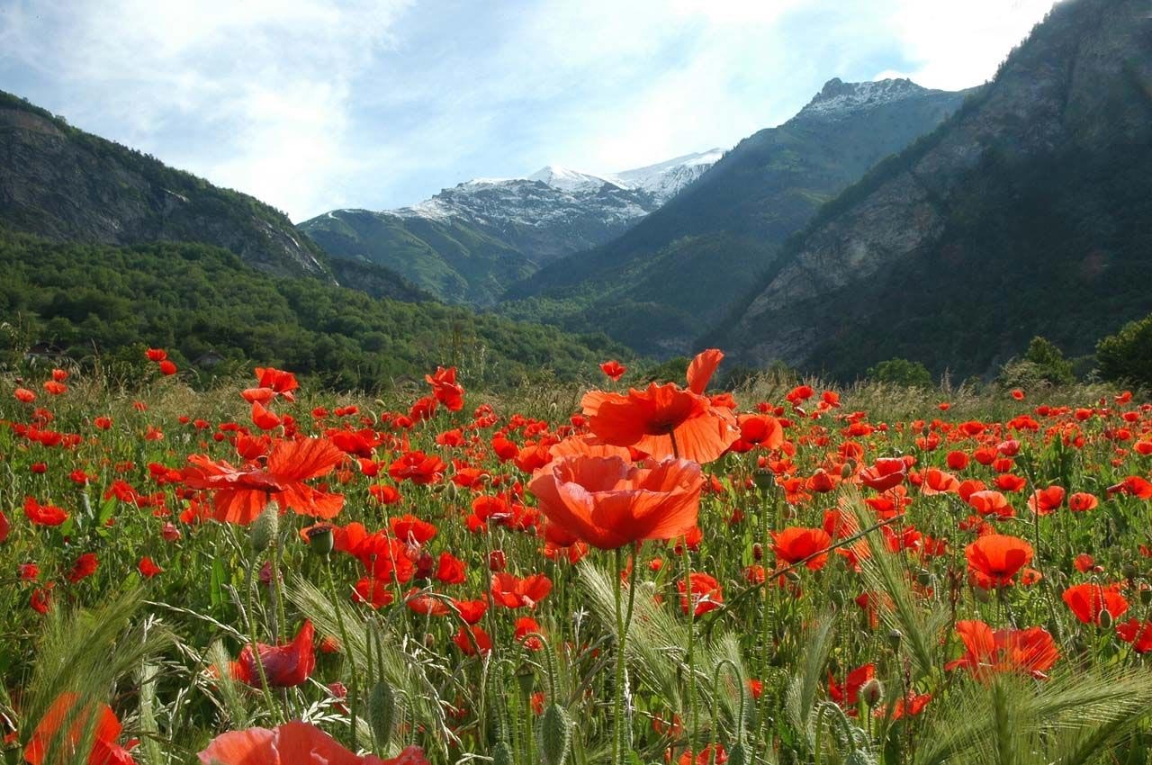 Les fonds d'écran de montagne